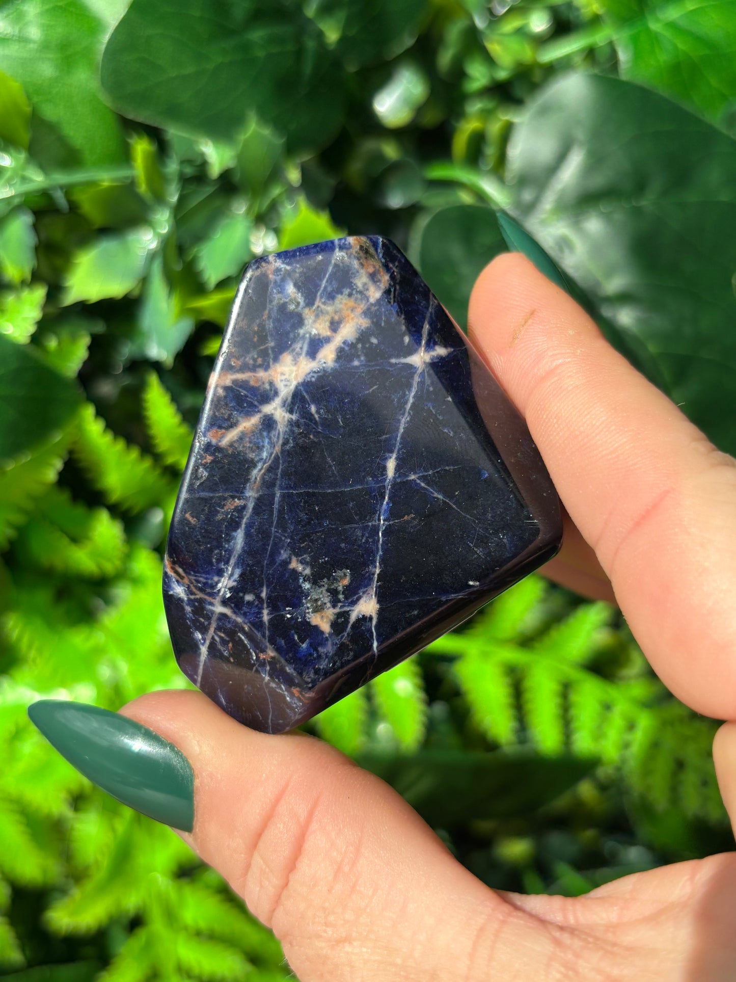 Sodalite free forms