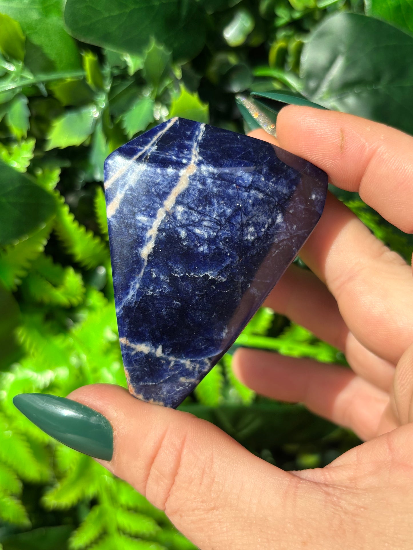 Sodalite free forms