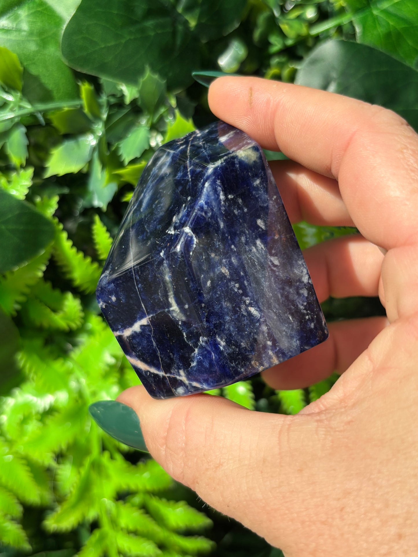 Sodalite free forms