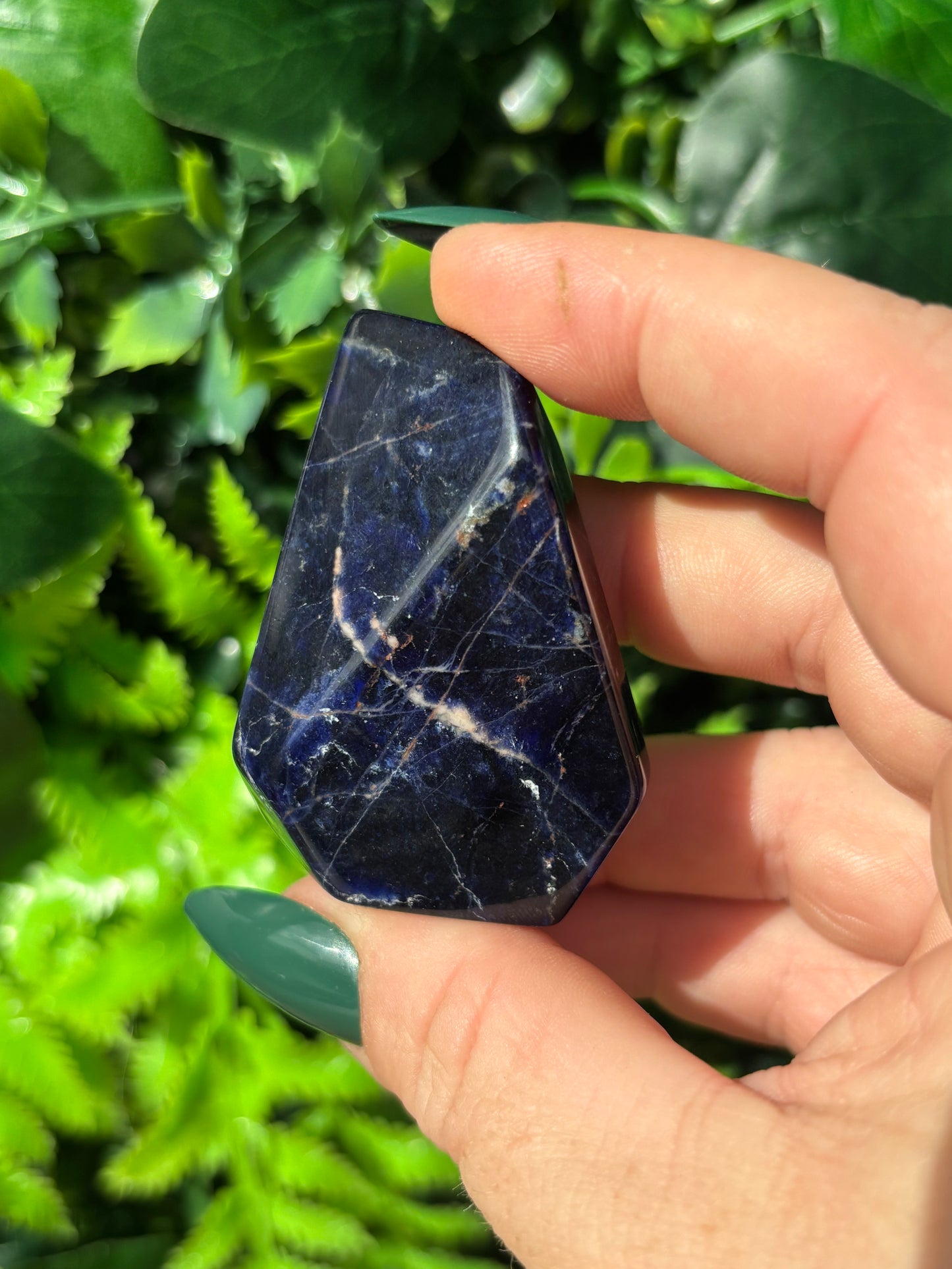 Sodalite free forms