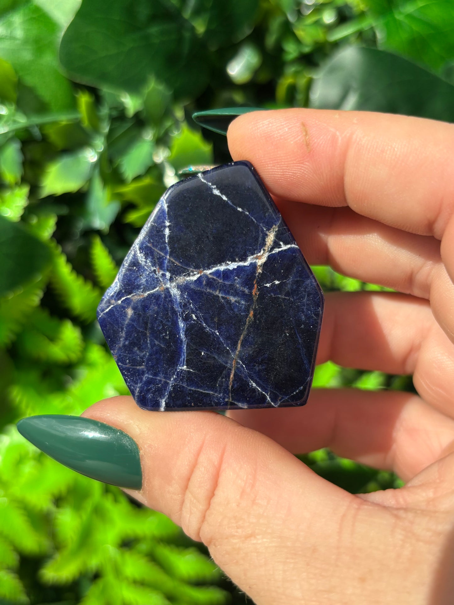 Sodalite free forms