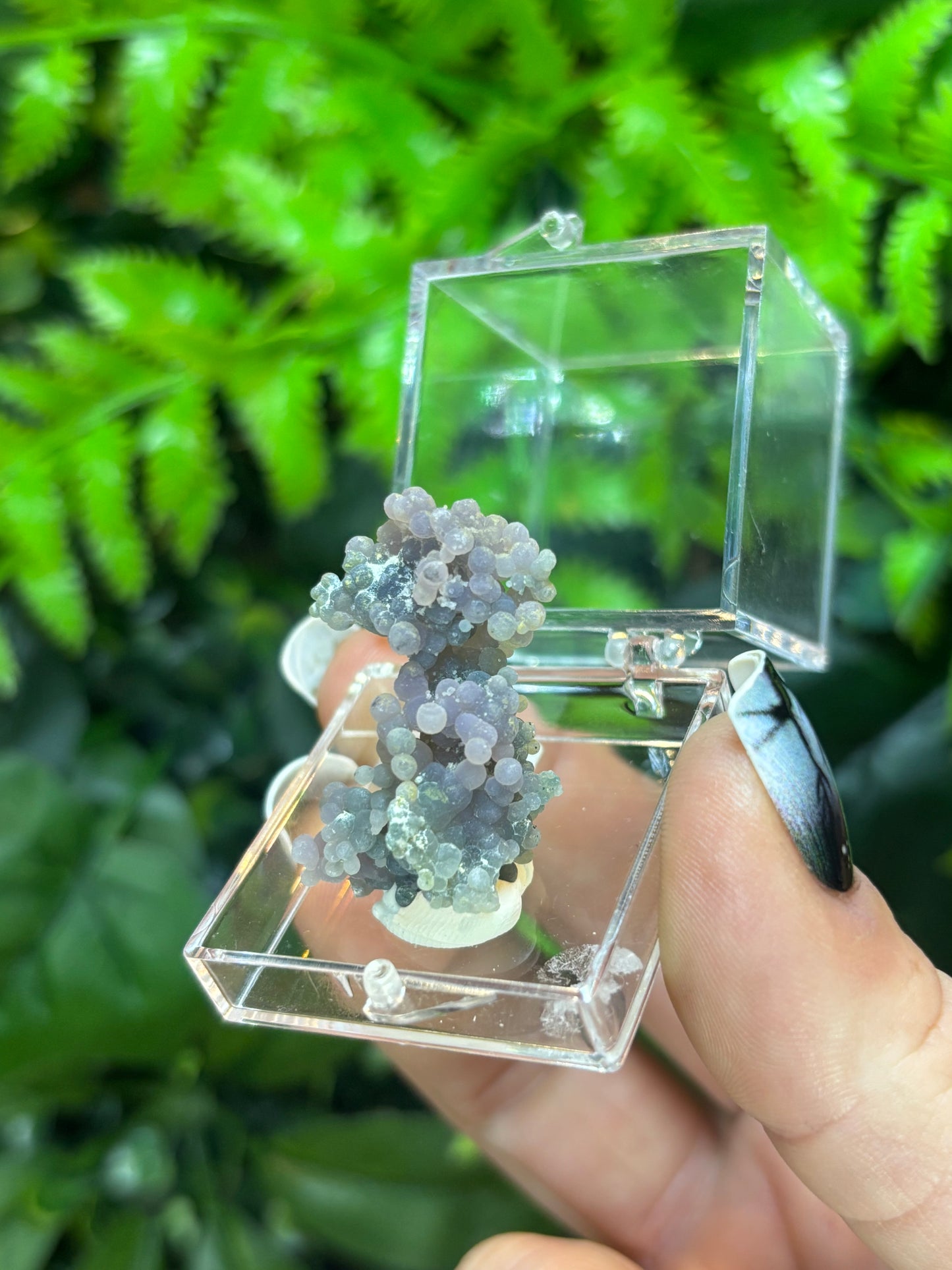 Grape Agate boxed specimen - Indonesia
