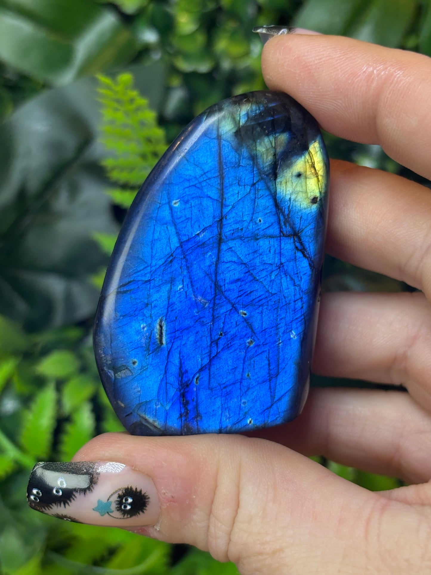 Mini Labradorite free form