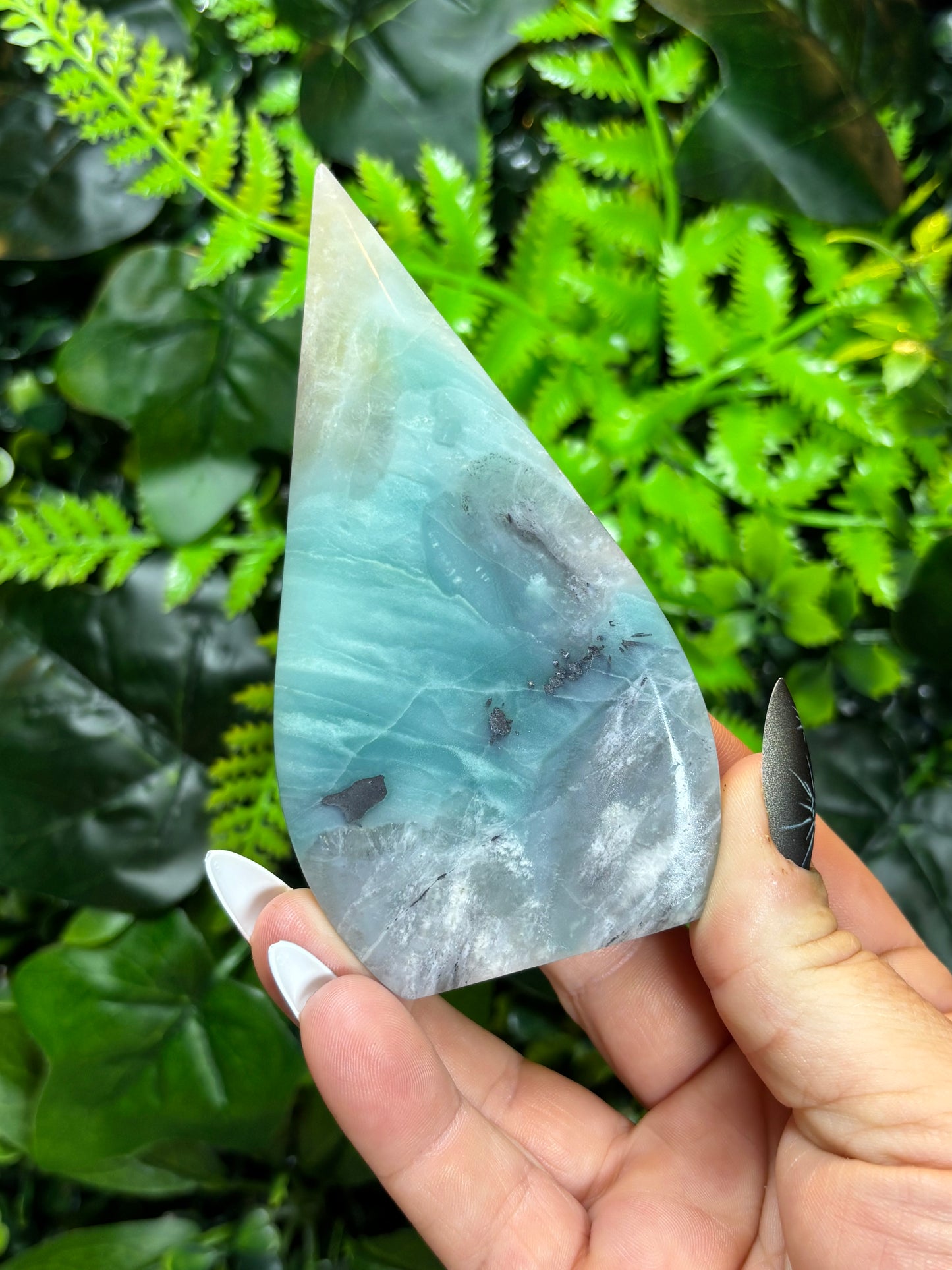 Caribbean Calcite Shield