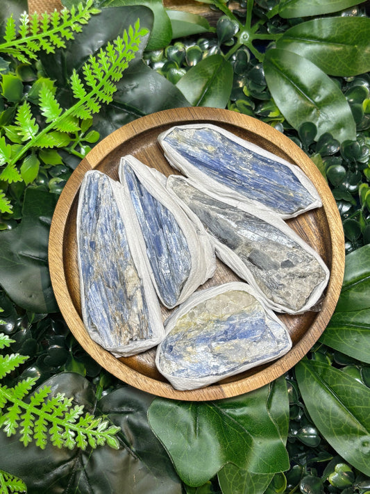 Raw Kyanite - Medium