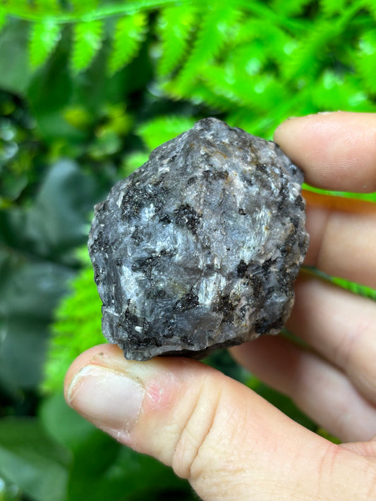 Raw Larvikite