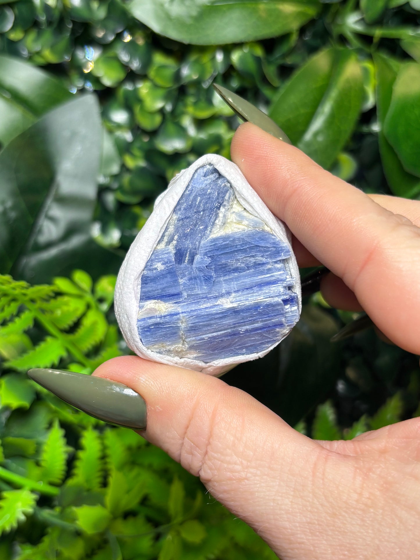 Raw Kyanite - Small