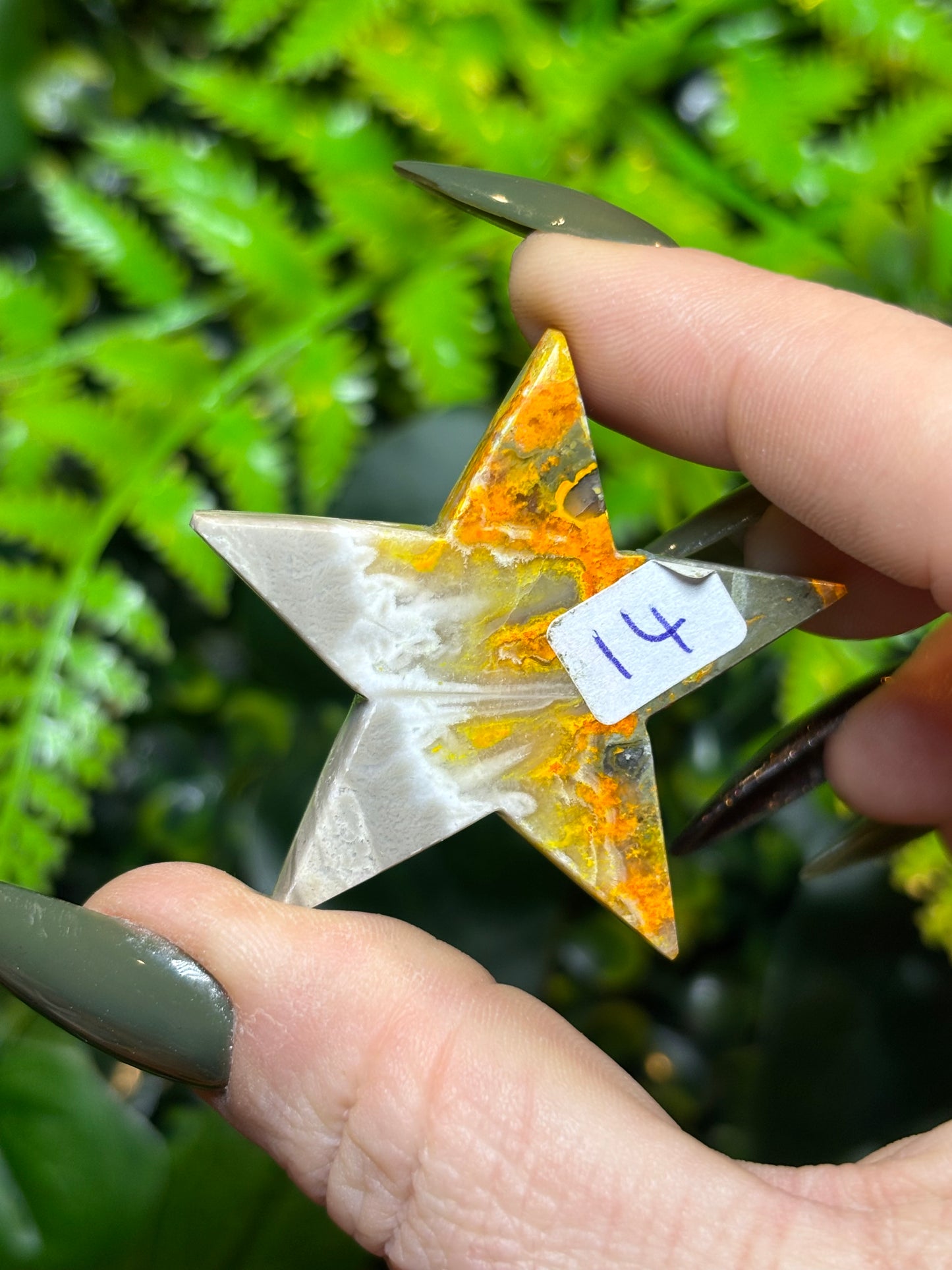 Bumblebee Jasper star