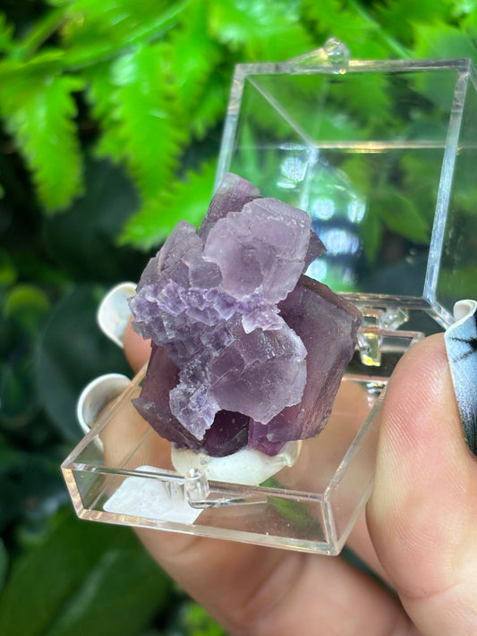Colour zoned Purple Fluorite boxed specimen - Zhejiang, China
