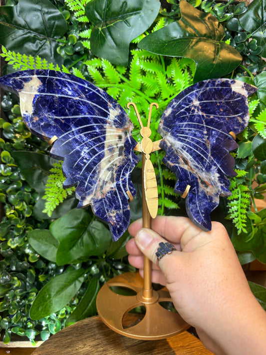 Large Sodalite butterfly wings on custom stand