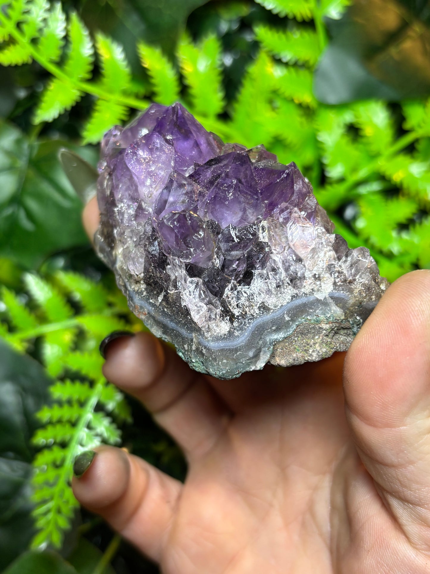 Brazilian Amethyst cluster - A