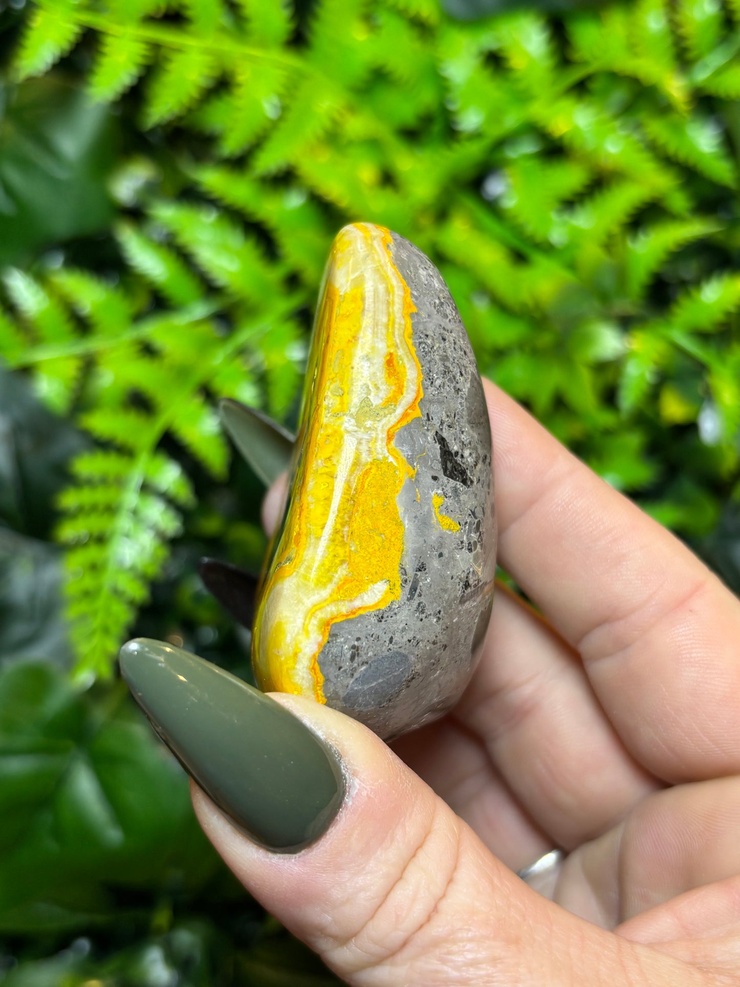 Bumblebee Jasper freeform