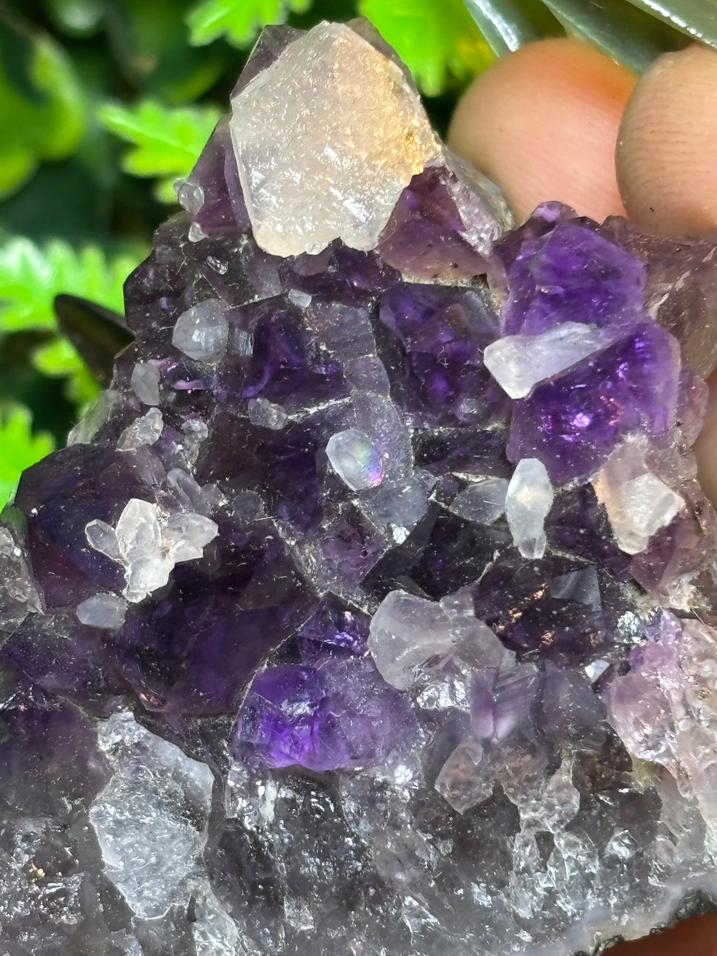 Brazilian Amethyst cluster with Calcite