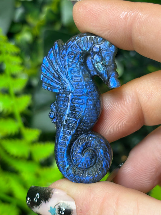 Dark blue Labradorite seahorse