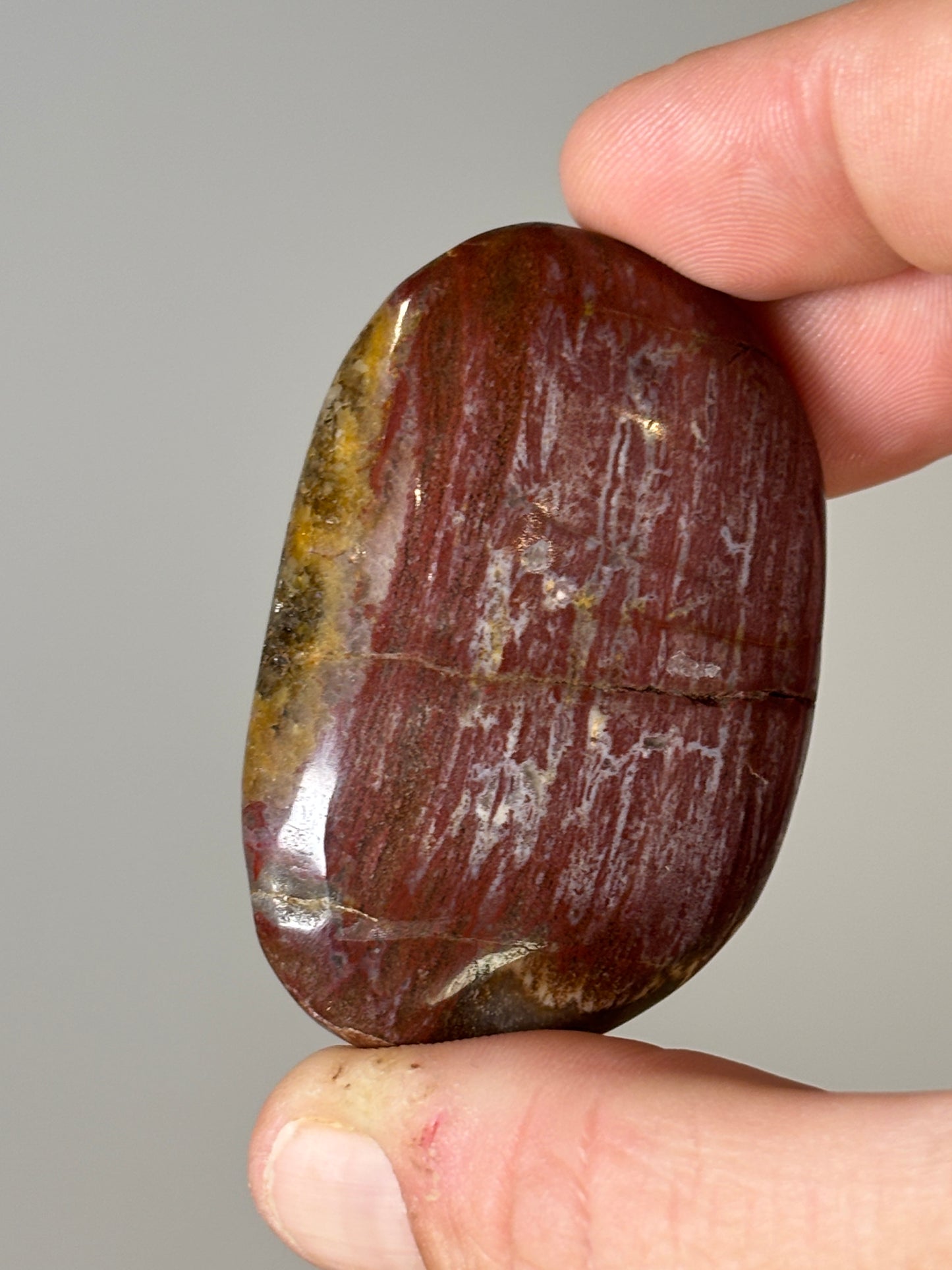 Petrified wood palm stones