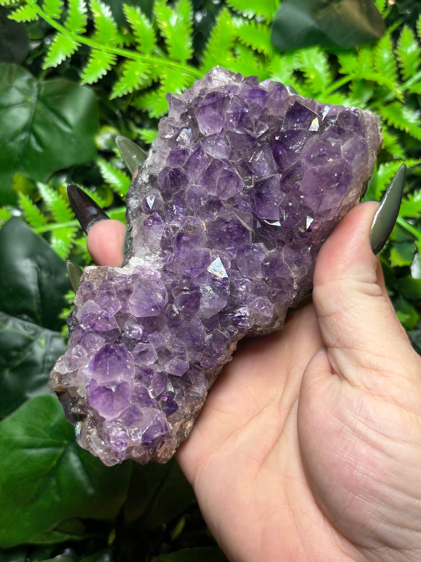 Brazilian Amethyst cluster - large