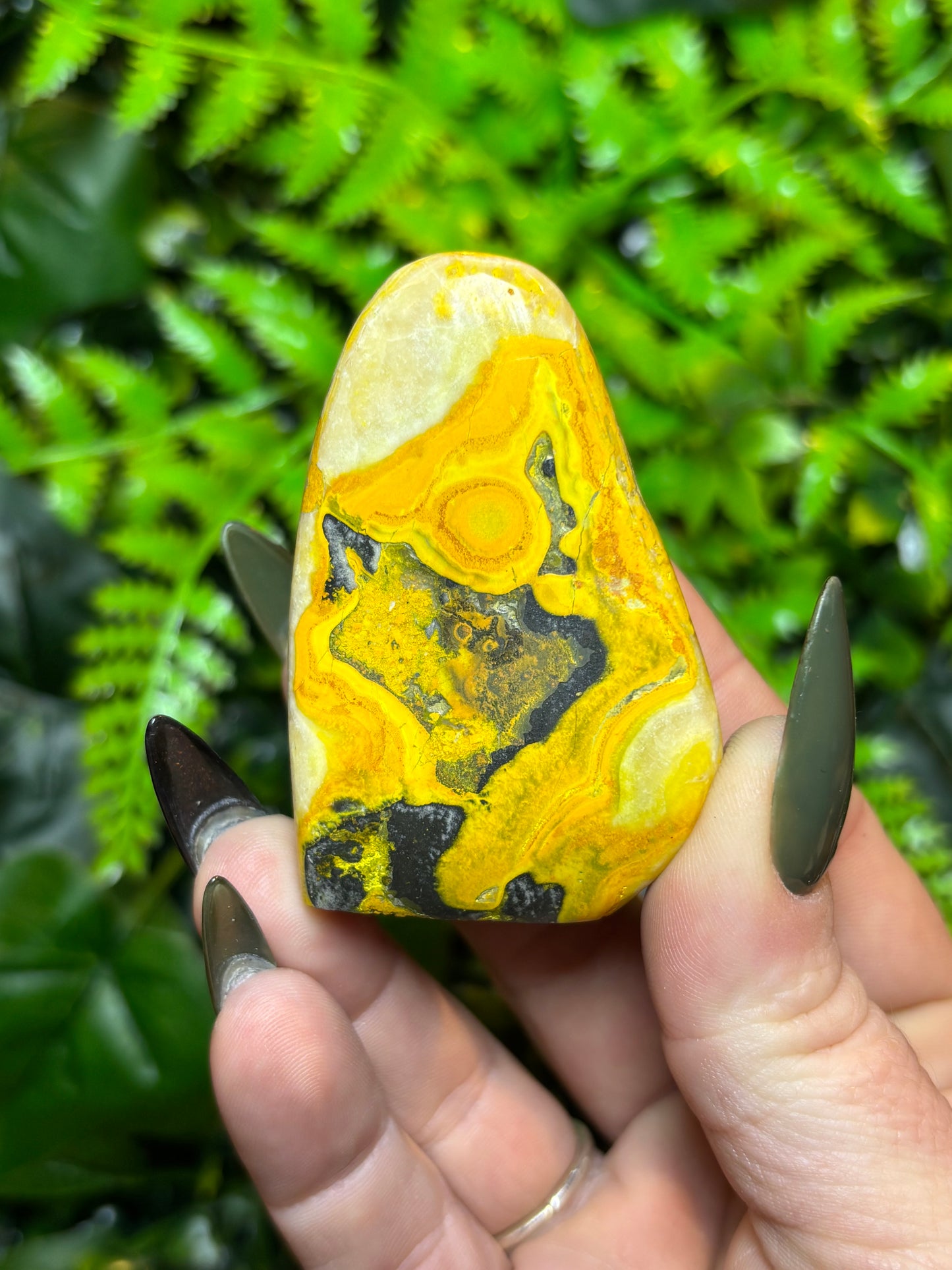 Bumblebee Jasper freeform