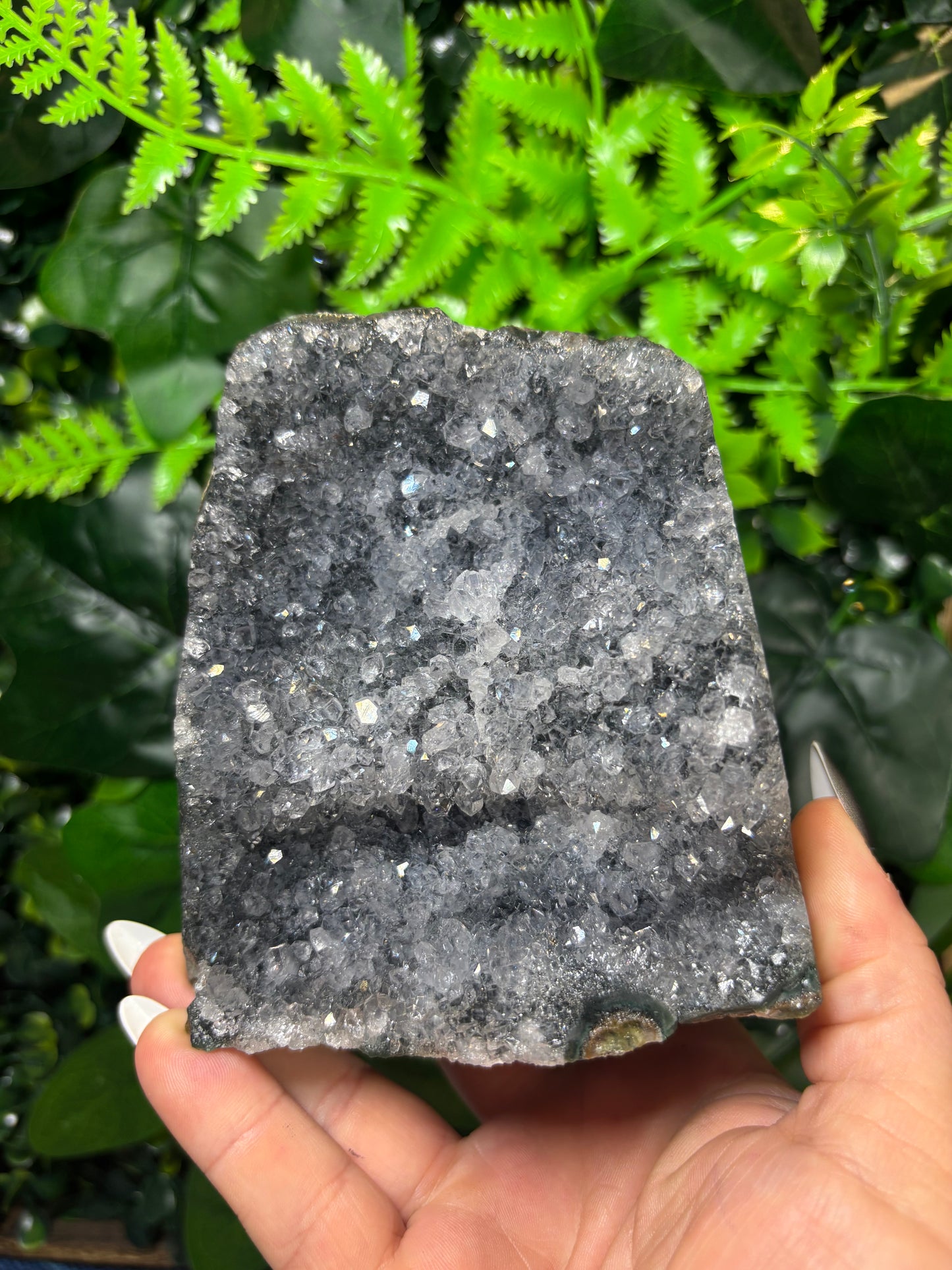 Smokey Amethyst - Cut base - B