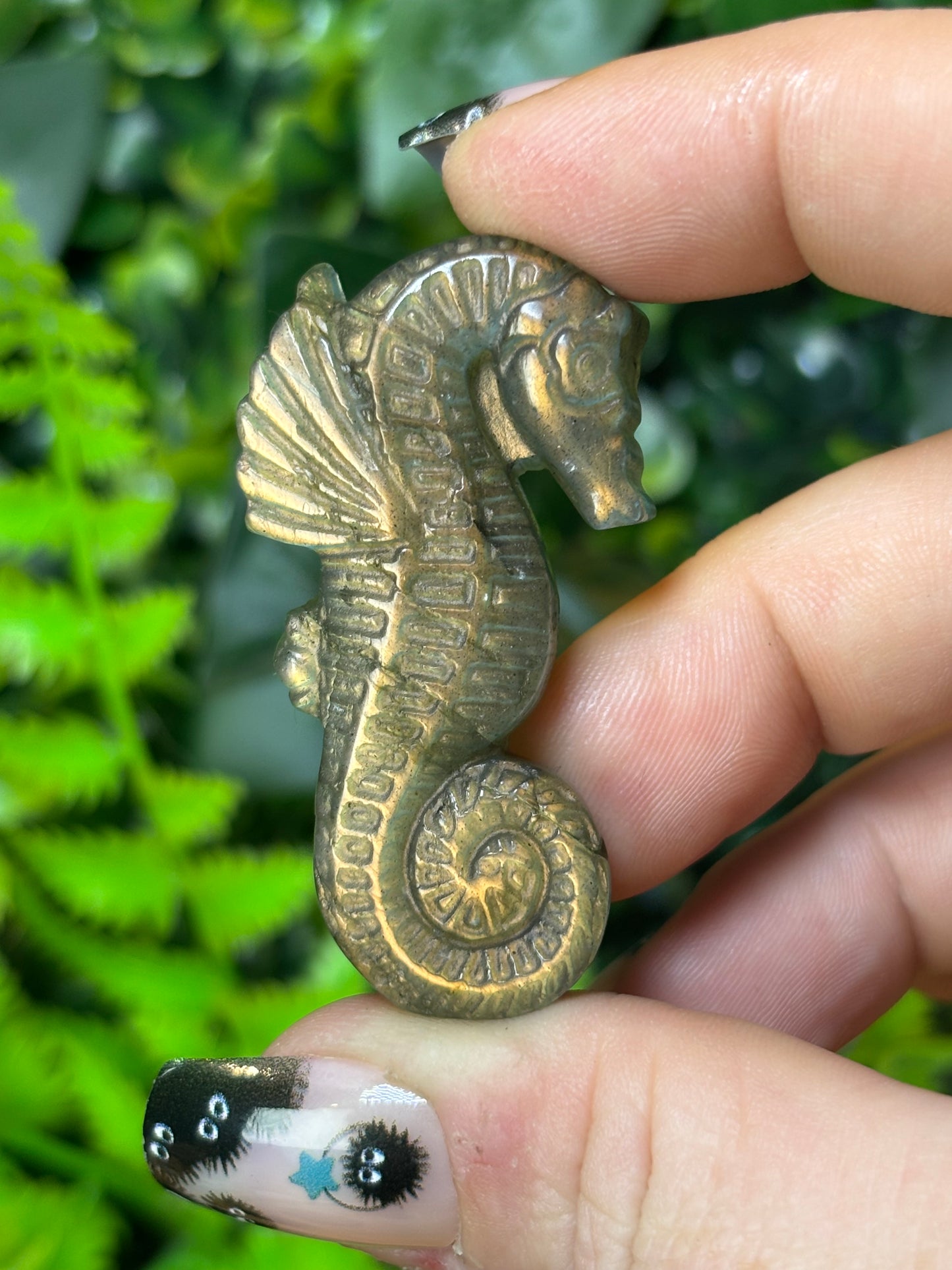 Dual Flash Labradorite seahorse