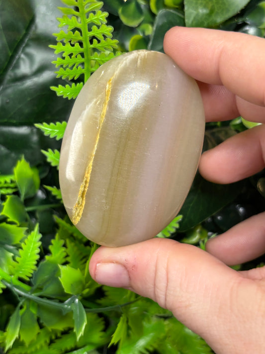 Banded Pink Onyx palm