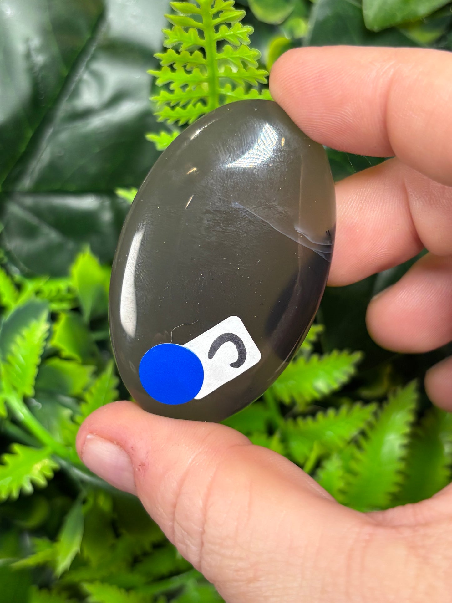 Volcano Agate palm stones - UV reactive