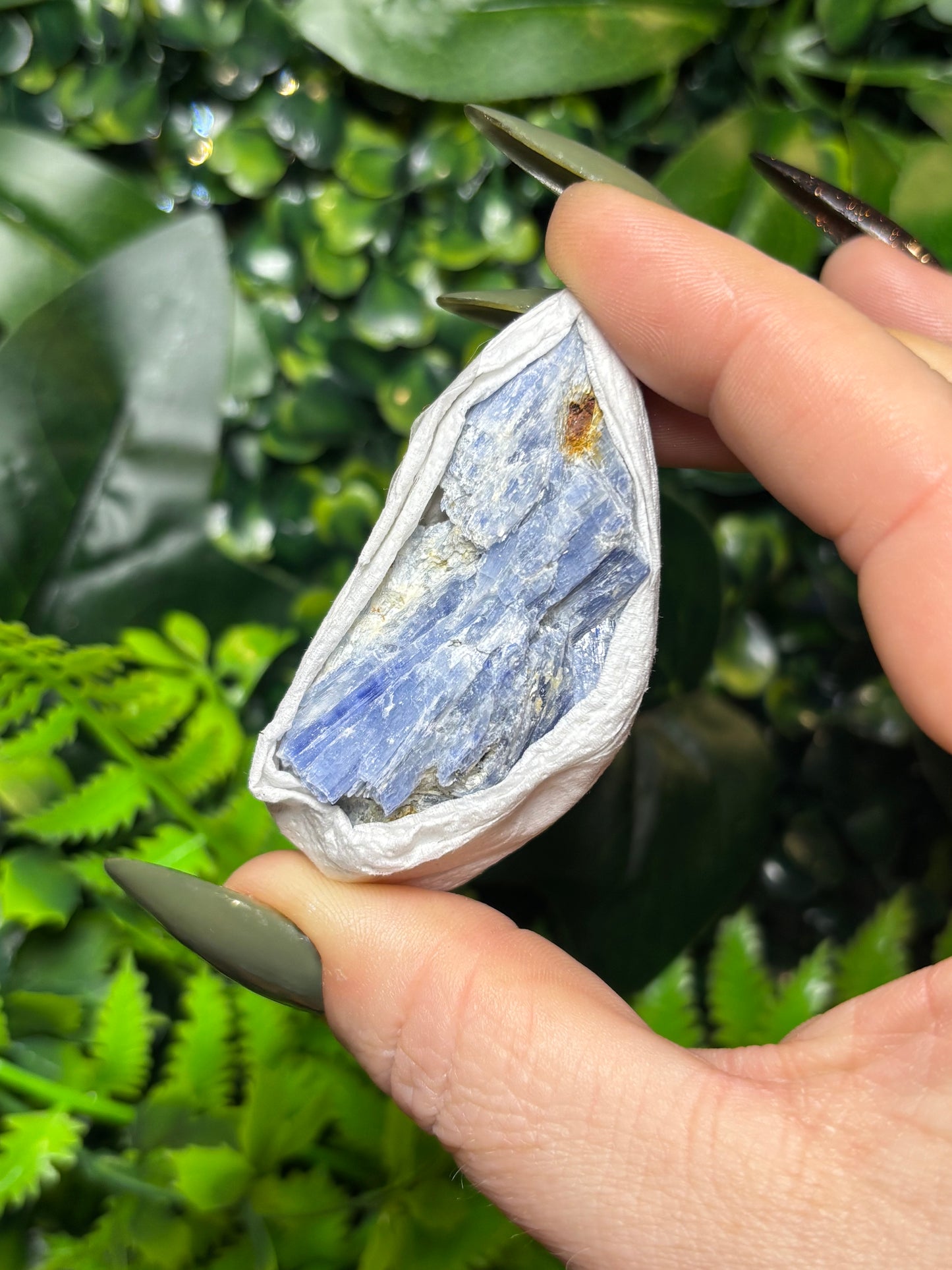 Raw Kyanite - Small