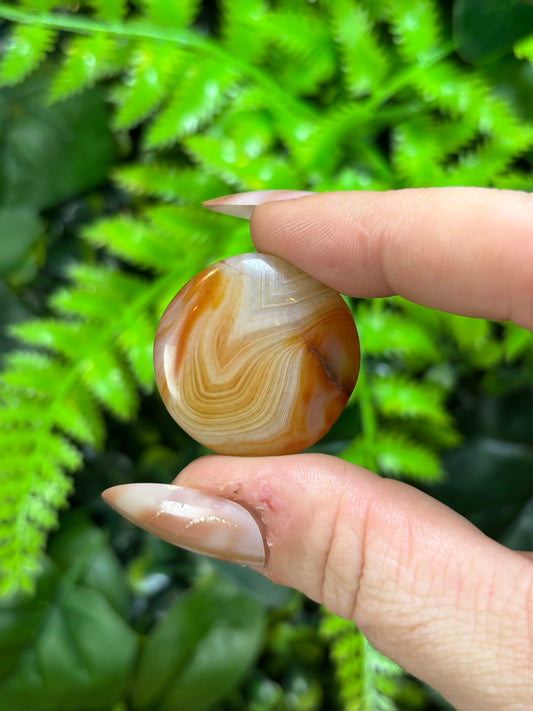 Mermaid coin - Carnelian