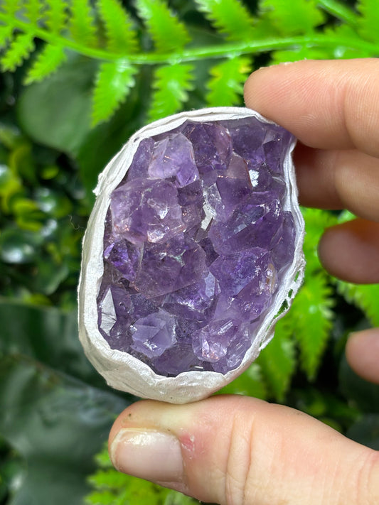 Brazilian Amethyst clusters - small