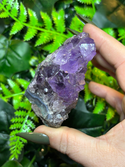 Brazilian Amethyst cluster - A