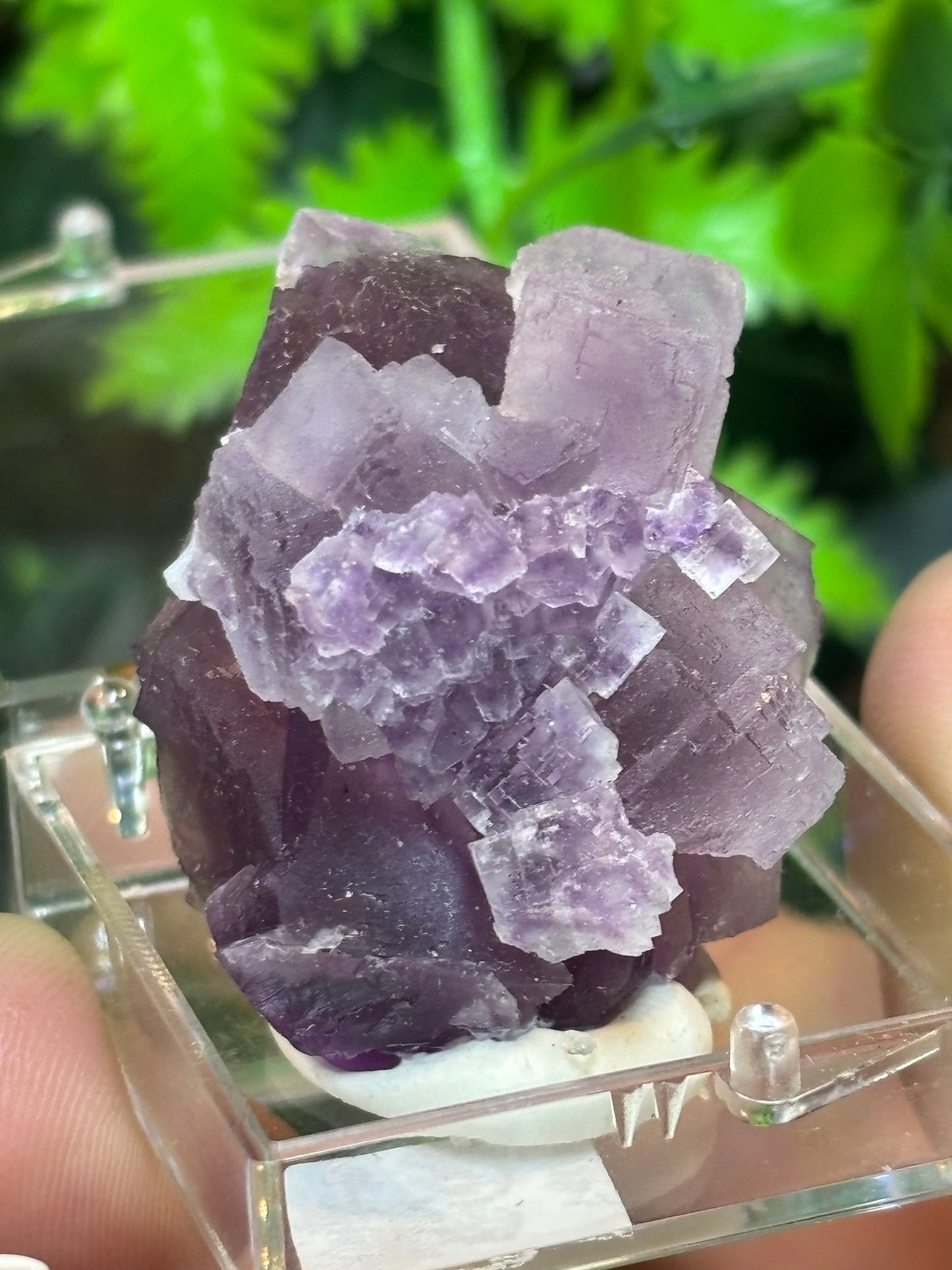 Colour zoned Purple Fluorite boxed specimen - Zhejiang, China