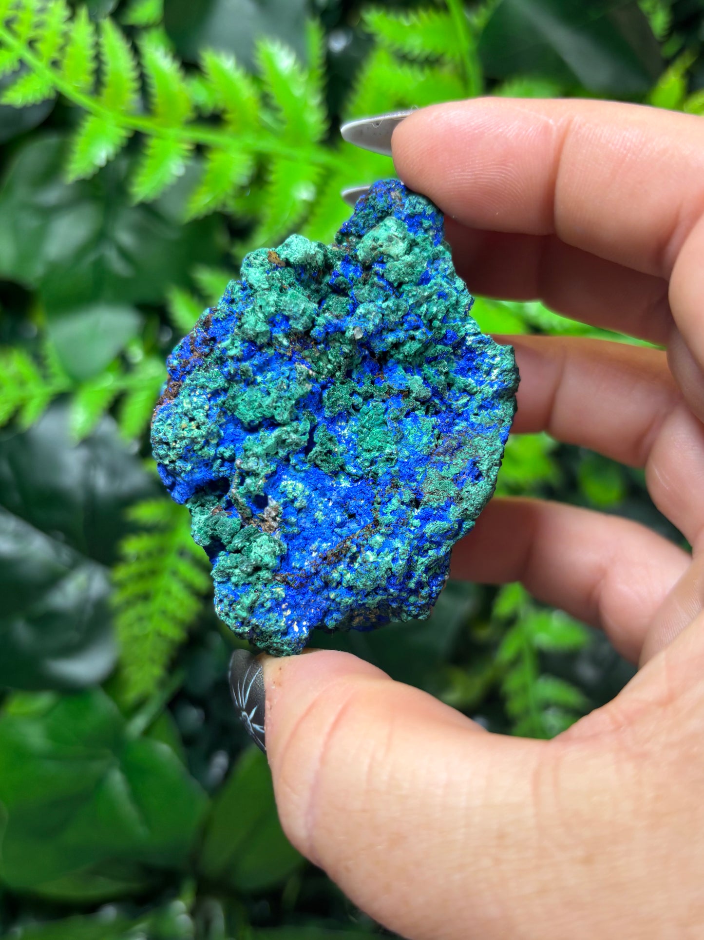 Azurite with Malachite