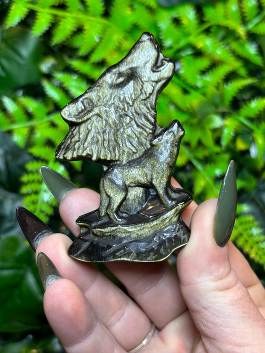 Golden Sheen Obsidian Wolves