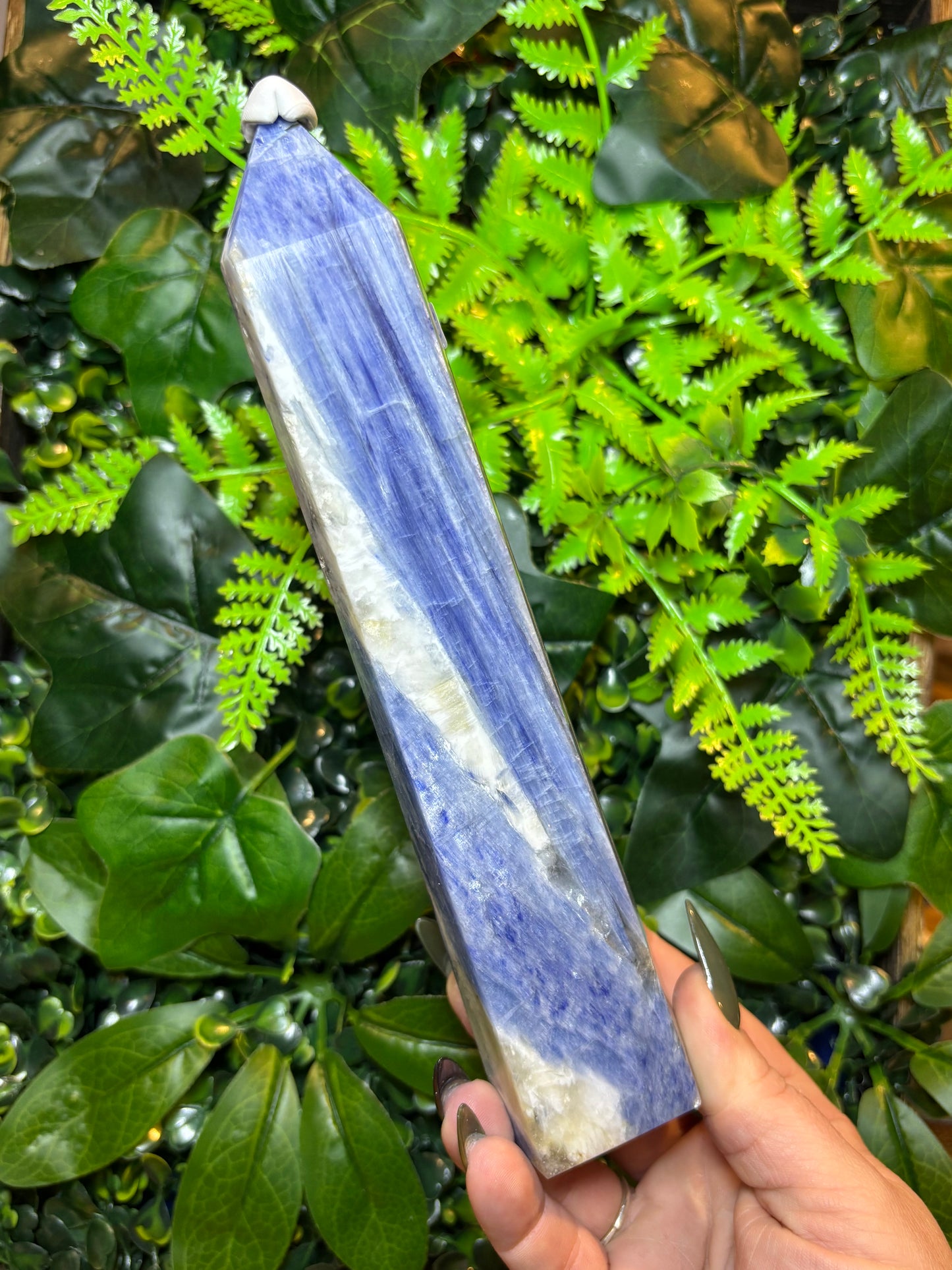 Statement Kyanite in Quartz tower