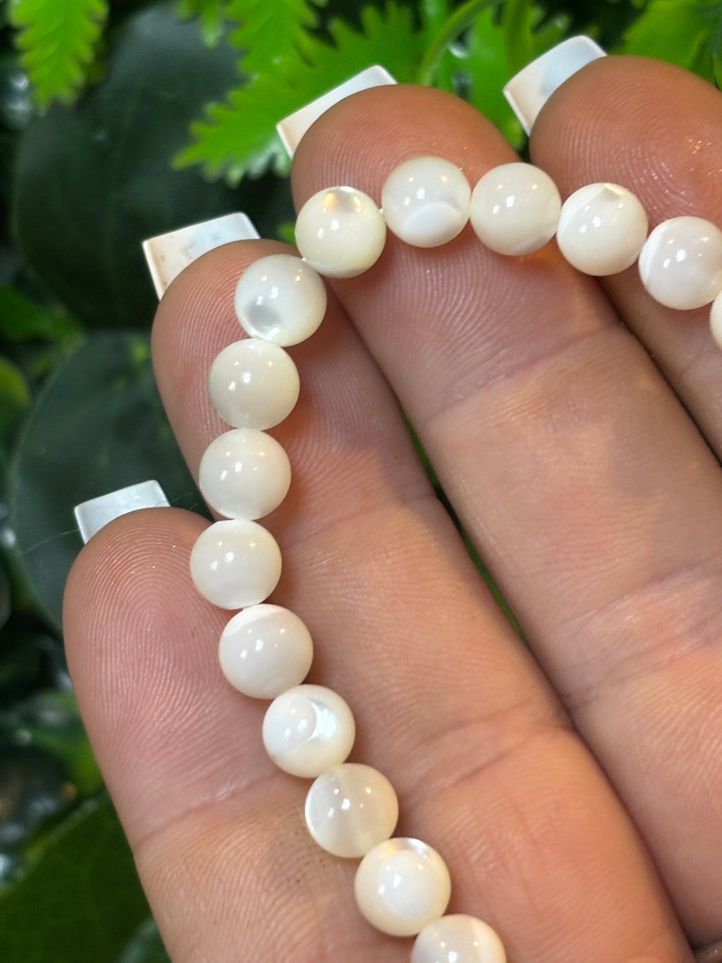 Conch shell beaded bracelet - 6mm