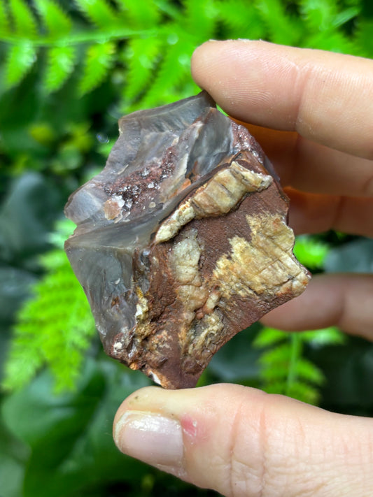 Raw Petrified Wood
