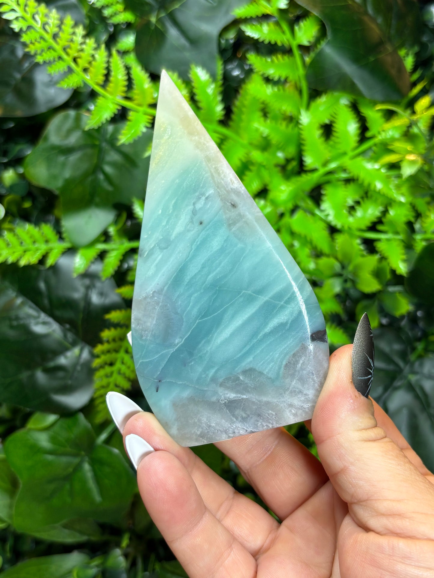Caribbean Calcite Shield