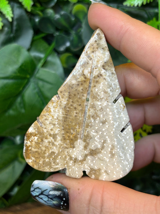 Fossilised Palm root leaf