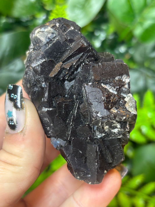 Black Rose Fluorite - Pakistan