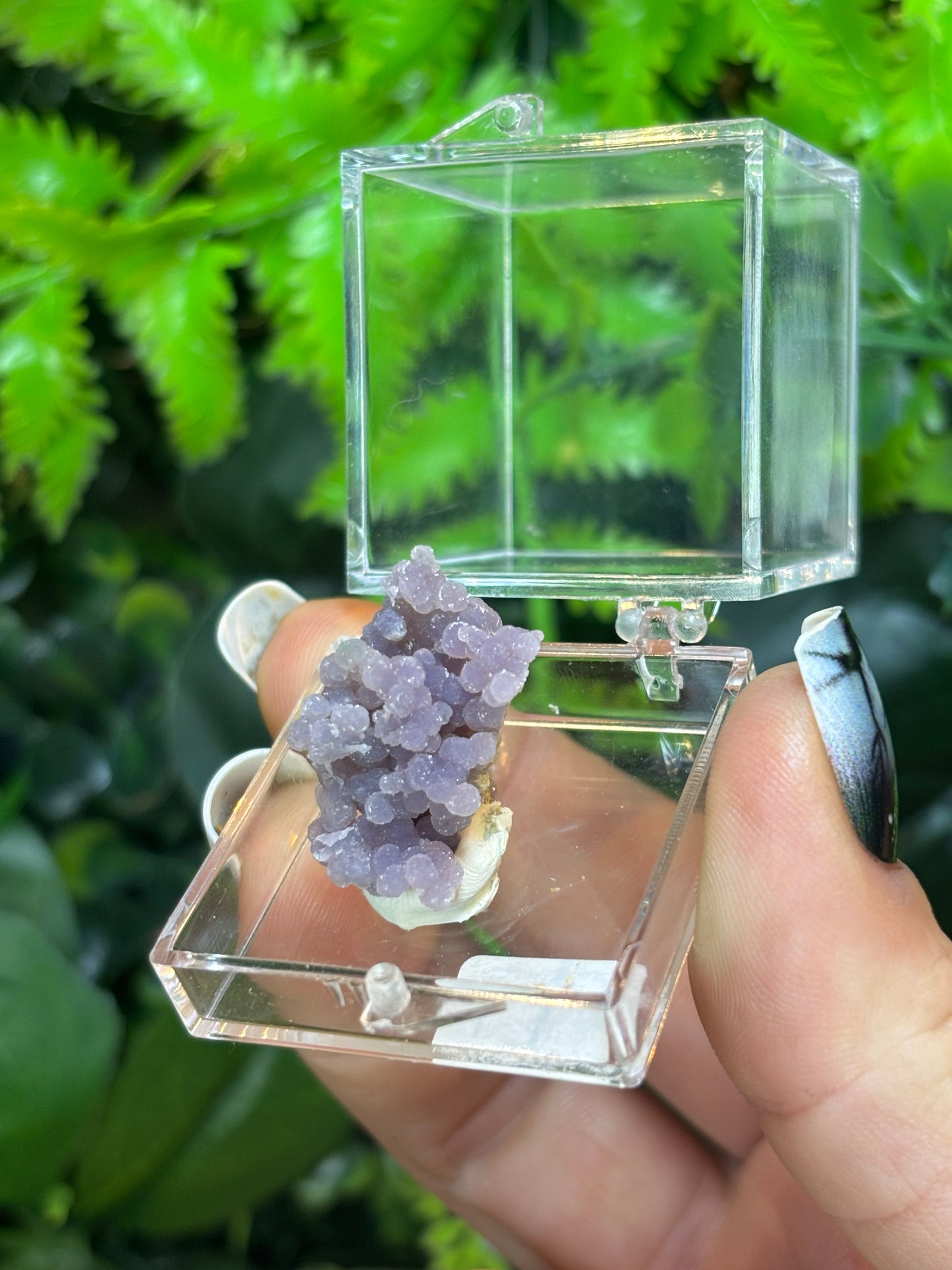 Grape Agate boxed specimen - Indonesia