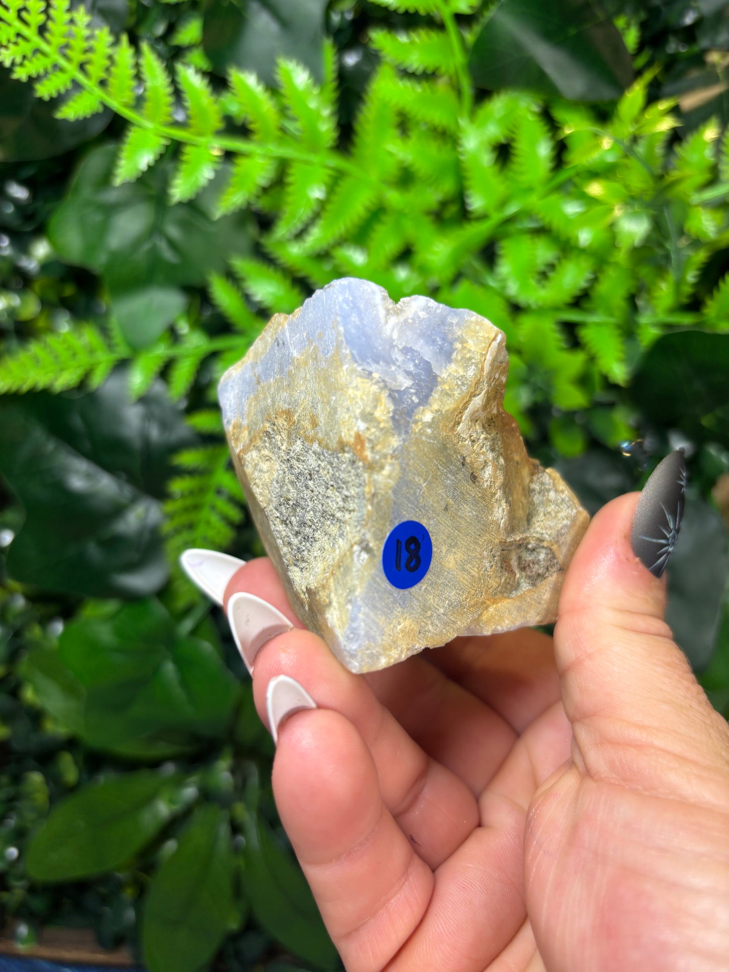 Blue Lace Agate - B