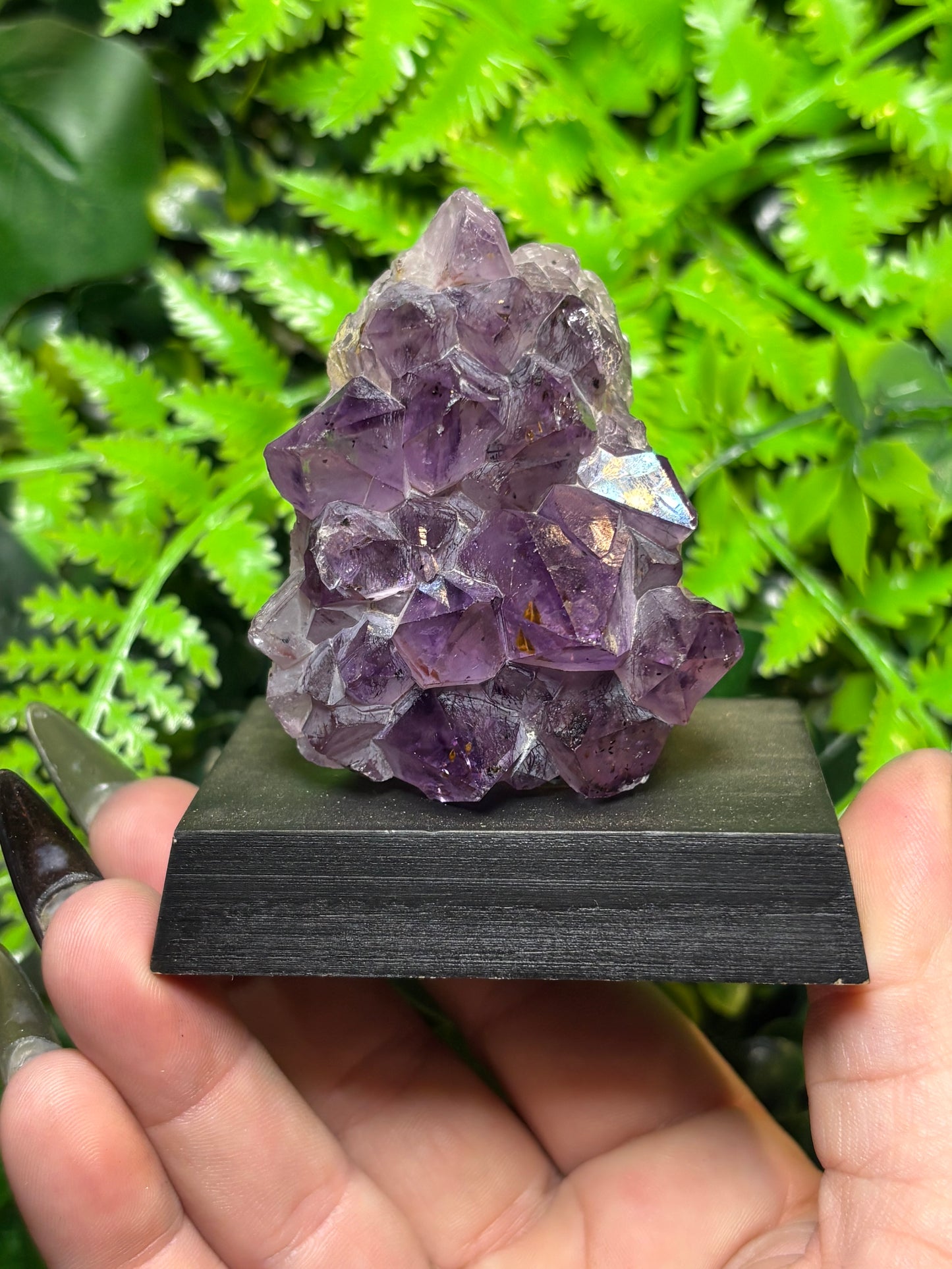 Amethyst cluster on wooden base - B