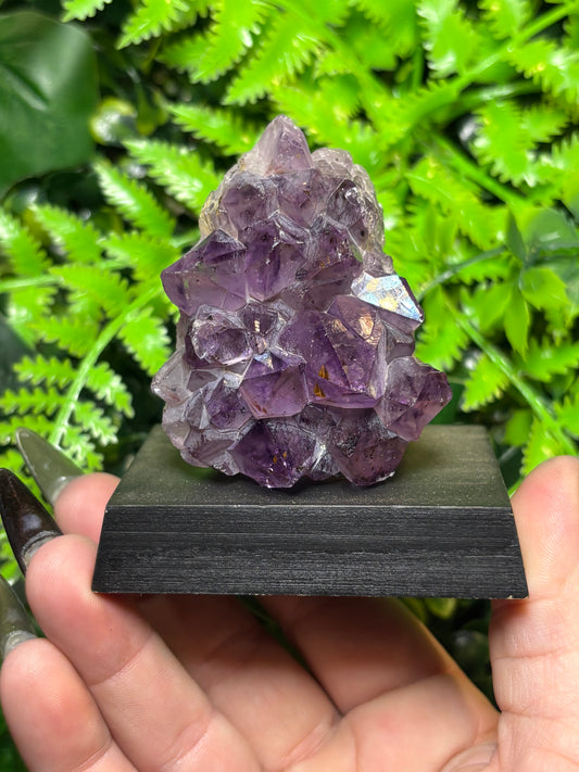 Amethyst cluster on wooden base - B