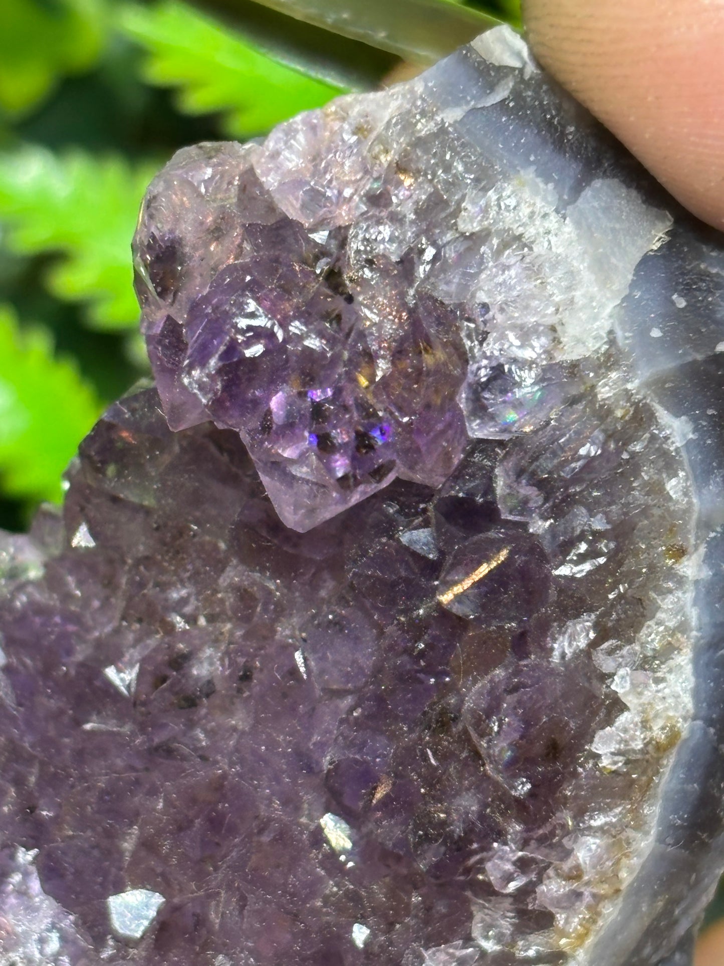 Brazilian Amethyst cluster - C