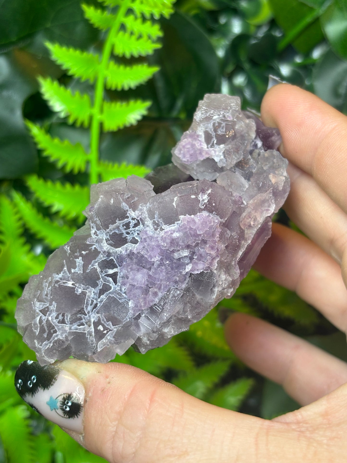 Colour zoned Purple Fluorite - Zhejiang, China