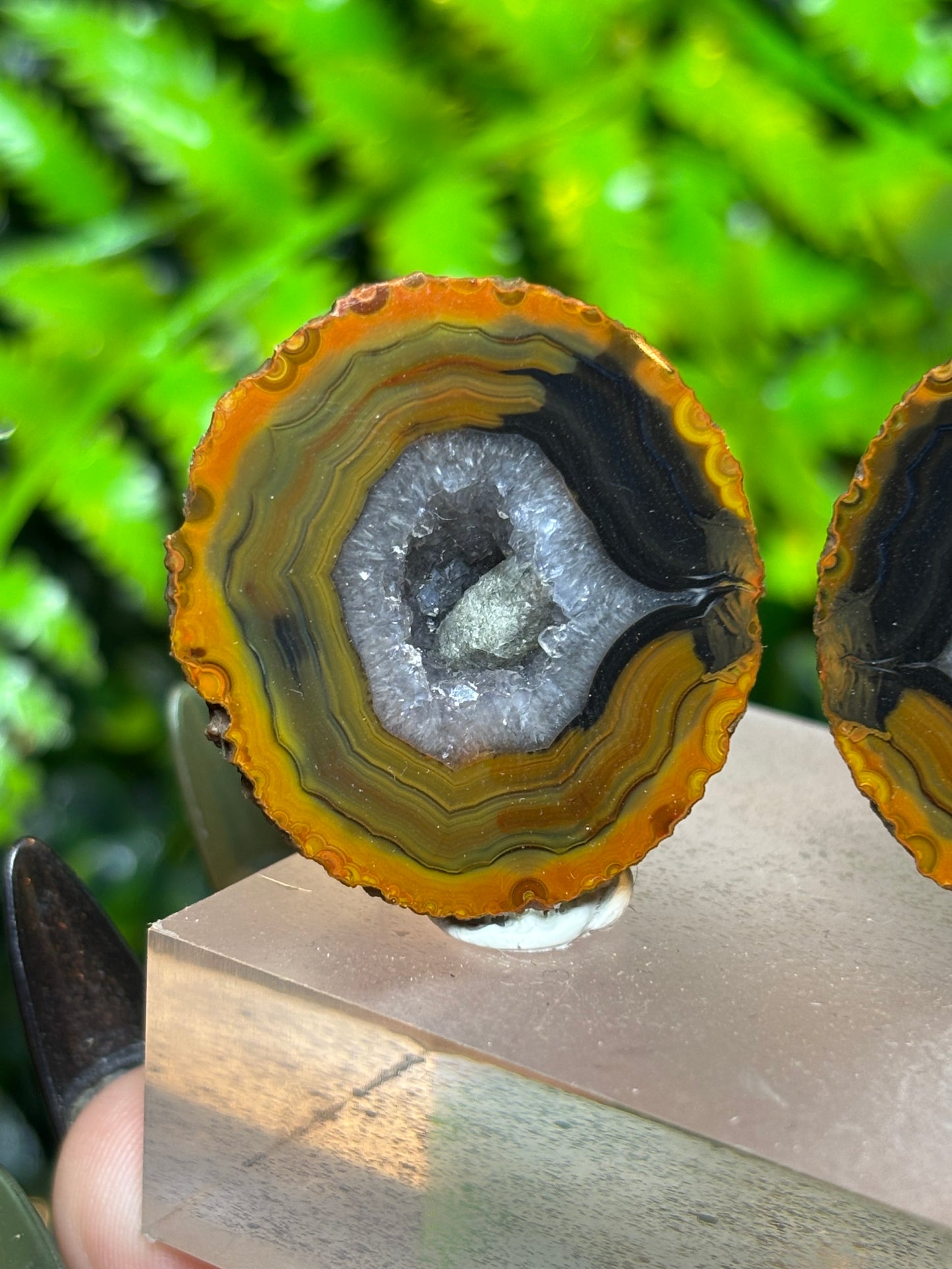 Zhanguo Agate pair - B