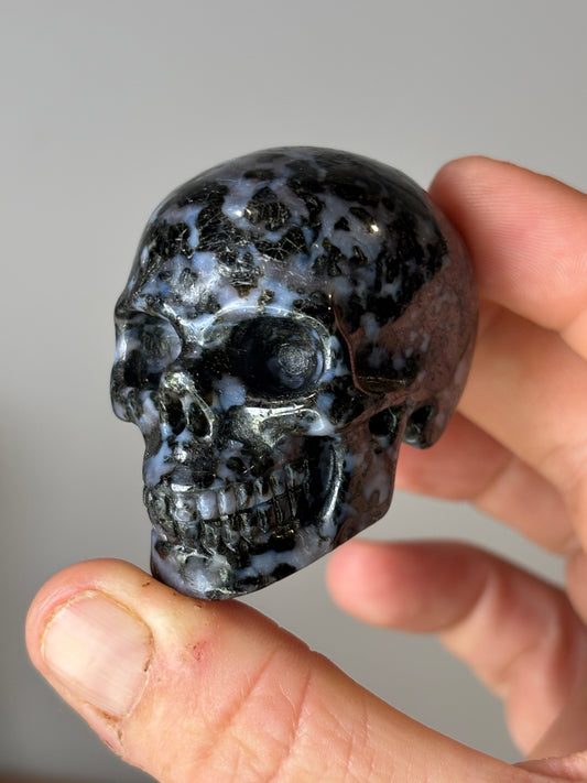 Skulls - various materials