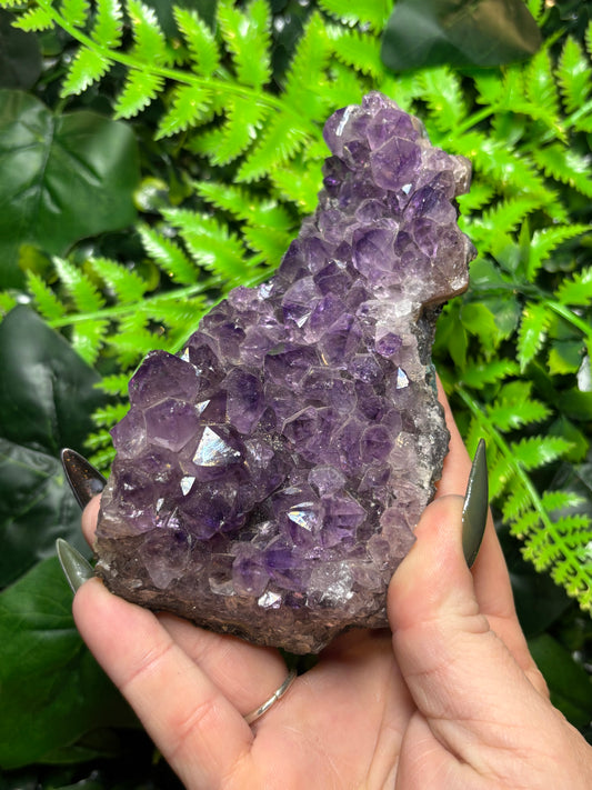 Brazilian Amethyst cluster - large