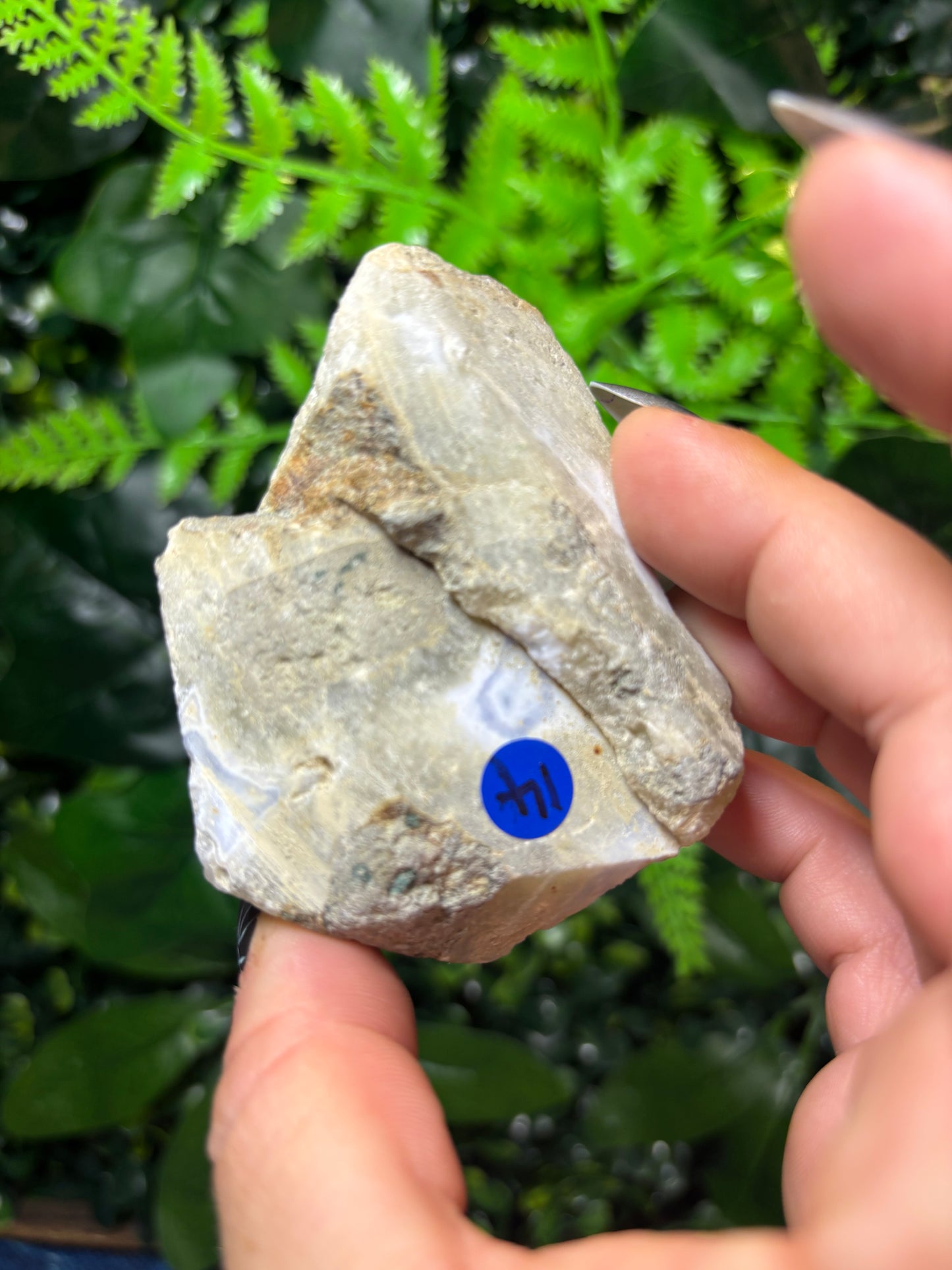 Blue Lace Agate