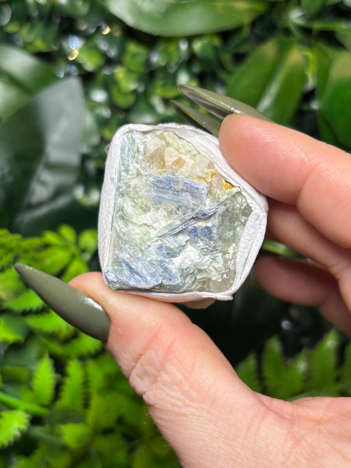Raw Kyanite - Small