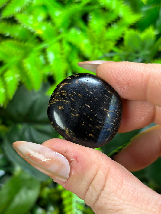 Mermaid coin - Blue Tigers Eye